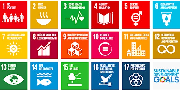Sustainable Development Goals - why they are relevant for your business?