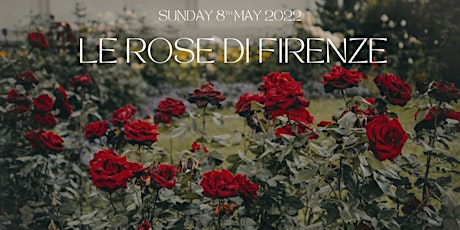 Le rose di Firenze - The roses of Florence primary image