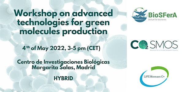 Workshop on advanced technologies for green molecules production