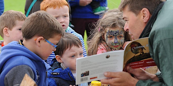 5 B's of Biodiversity Children's / Family Activity Kilkenny Castle