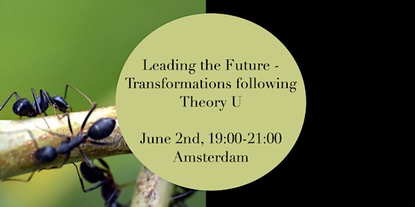 Leading the future - transformations following 'Theory U'
