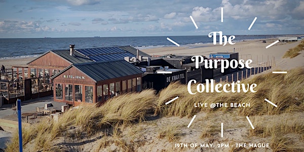 Bringing Purpose to Life: Purpose Collective live @the Beach