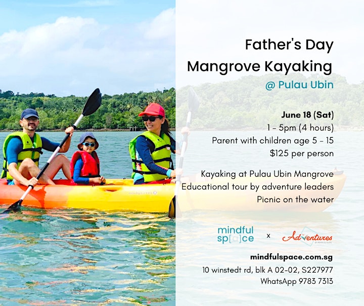 Father's Day Mangrove Kayaking at Pulau Ubin image