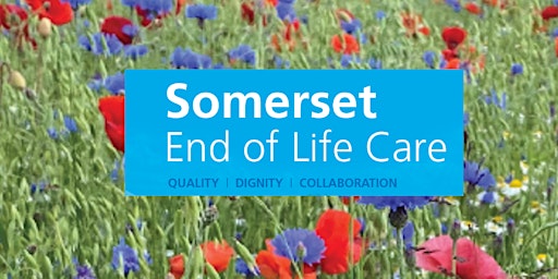 End of Life Care Training for Microproviders in Somerset