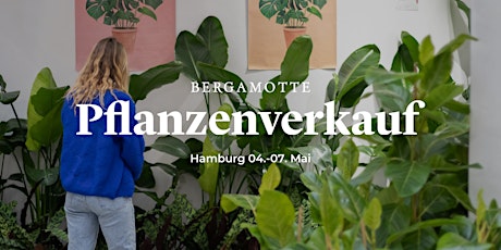 Hauptbild für Bergamotte Pflanzenverkauf // Hamburg