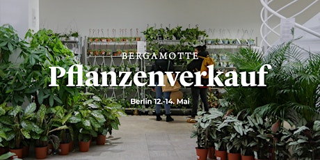 Bergamotte Pflanzenverkauf  // Berlin  primärbild