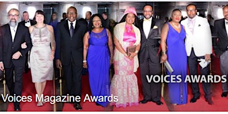 2017 Voices Awards primary image