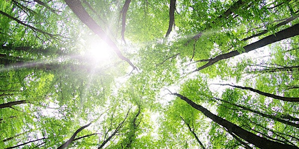 Reiki - Free Mini Treatments with Just Be Spiritual Healing