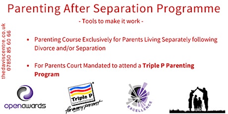 Parenting after Separation and Divorce - Tools to Make it Work (London) primary image