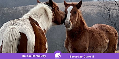 Help a Horse Day 2022 tickets