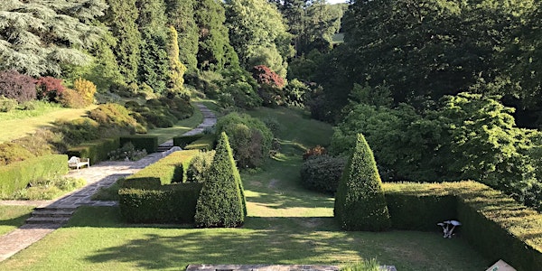Open Garden and Tea - Parkinsons UK -  Sherwood House , Crediton - 28th May