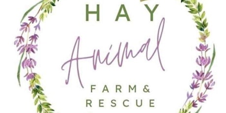 Hay Animal Farm and Rescue Fundraising Open Day tickets