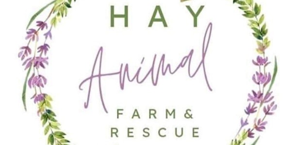 Hay Animal Farm and Rescue Fundraising Open Day