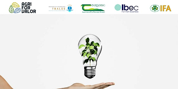 High Potential Technologies for Ireland’s Bioenergy Sector