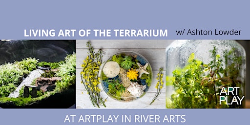 Living Art of the Terrarium