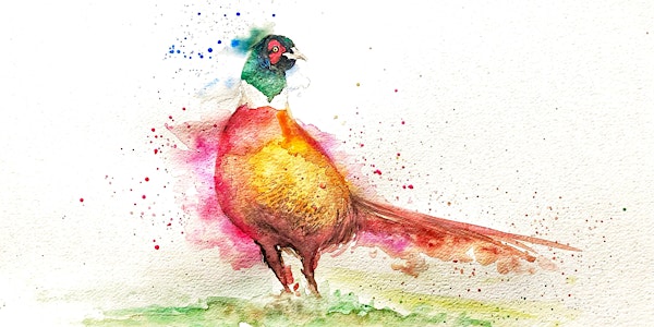 Beginners Watercolours - Birds