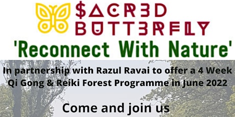 Qi Gong & Reiki  Forest Programme tickets