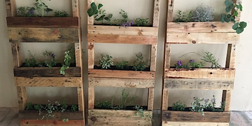 Upcycle a wall  planter with Iver & Earth