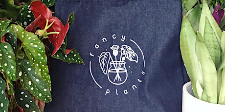Houseplant care and late night shopping at Fancy Plants tickets