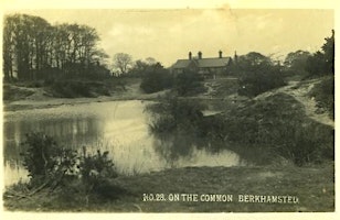 The Battle of Berkhamsted Common