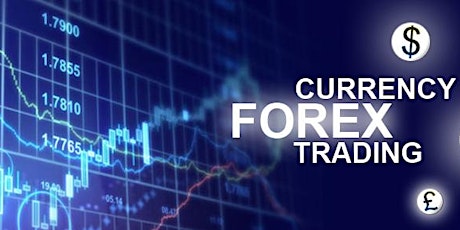  Forex Auto 'Copy Trade' program with 3 years track record. 10% monthly! primary image