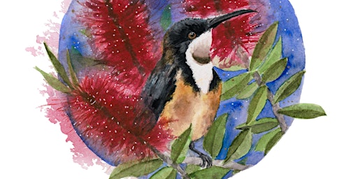 Watercolour Native Birds and Blossoms