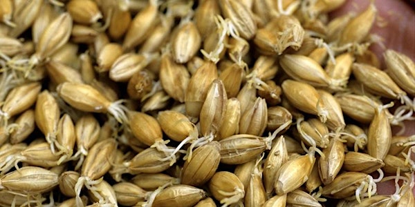 Local Grains for Craft Beverage Production