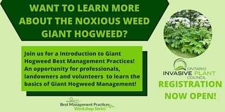 Image principale de Giant Hogweed Best Management Practices Workshop