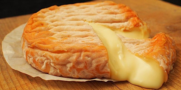 Feel the Funk! An Exploration of Stinky Cheese