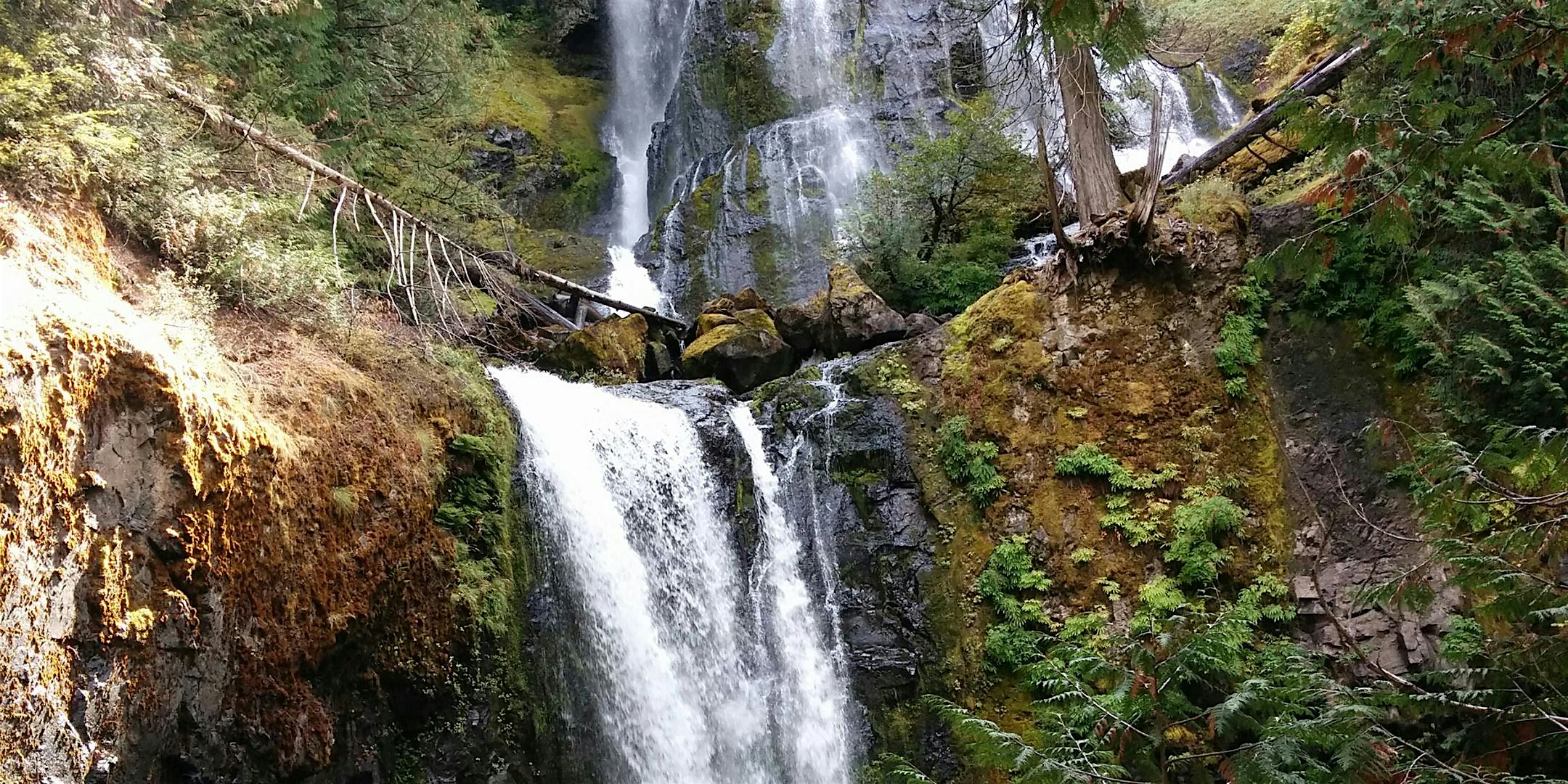 Falls Creek Falls Dog-Friendly Hike