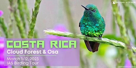 Costa Rica: Cloud Forest & Osa