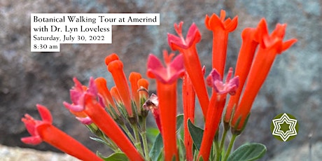 Botanical Walking Tour at Amerind with Dr. Lyn Loveless tickets