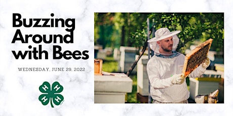 Buzzing Around With Bees (Ages 9-13) tickets