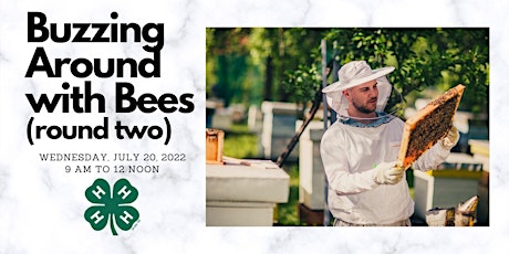 Buzzing Around With Bees 2 (Ages 9-13) tickets