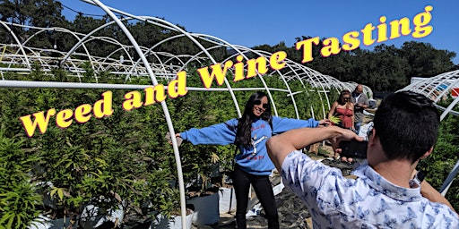 Wine & Weed Tasting Bus Tour from San Francisco