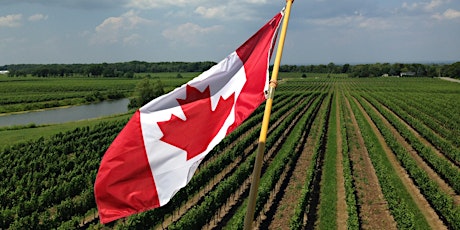 Join Jamie Goode for a Tasting Tour of the Wines of Canada primary image