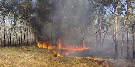 Property Fire Information Session & Fire Management Workshop  | Guanaba tickets