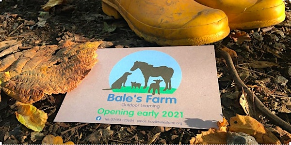 Bale's Farm May half-term Fun Day