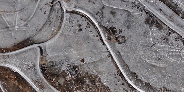 Winter Dormancy