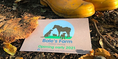 Bale's Farm Summer Fun Days tickets