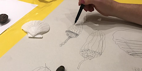 Exploring Mindful Drawing tickets