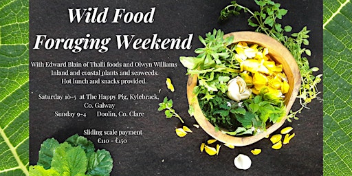 Wild Food Foraging Weekend