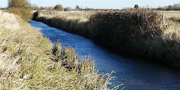Norfolk's Two Chalk Rivers: official project launch