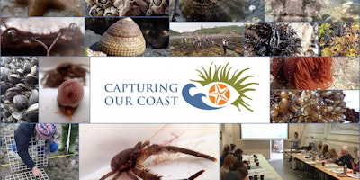 Capturing Our Coast Training - Falmouth