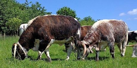 Cattle Walks - Chingford tickets