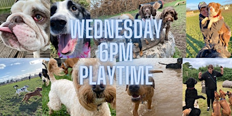 Wednesday 6pm - Dogs Up to 25kg tickets