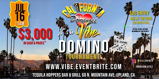 IT'S A VIBE SUMMER DOMINO TOURNAMENT  '22