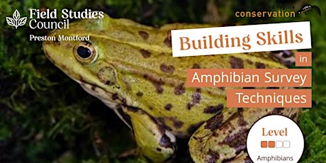 Building Skills in Amphibian Survey Techniques