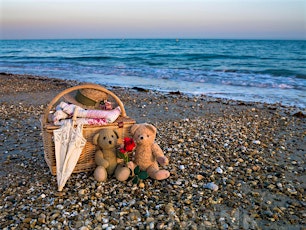 Teddy Bear Beach Party (Special Toddler Tales) tickets