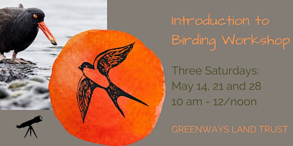 Introduction to Birding _Workshop_